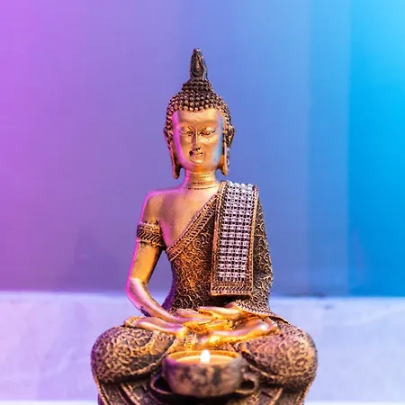 Electra & פריבולוס