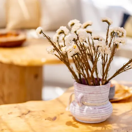 Electra & 페리볼로스