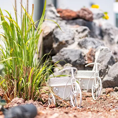 Electra & * פריבולוס