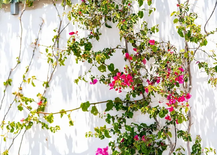 Hotel Electra Suites&spa